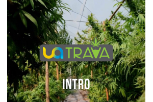 UATRAVA – une marque, un rythme et une culture d'équilibre conscient